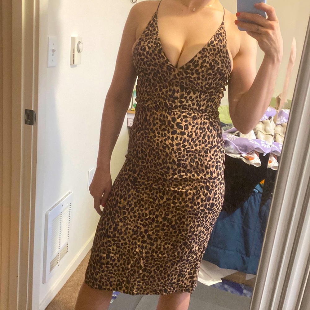 Animal Print Dress